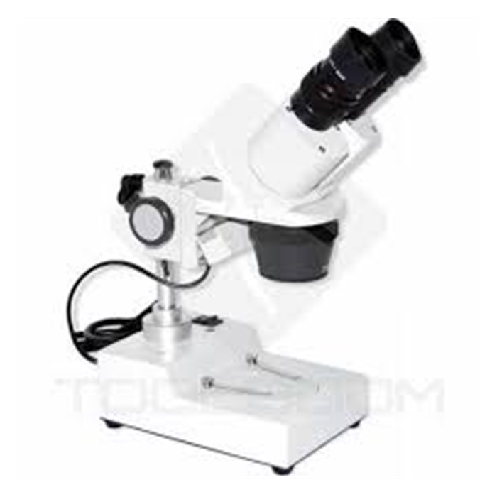 Mikroskop Stereo Binoküler XTX3C model