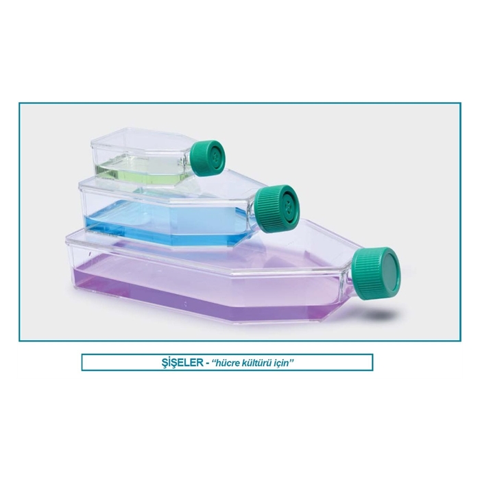 şişe-hücre kültürü-kapalı kapaklı-75 cm2-25 ml
