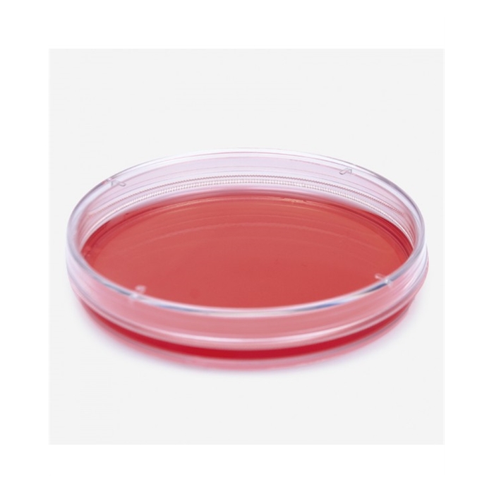 petri kutusu-hücre kültürü-35 mm Çap
